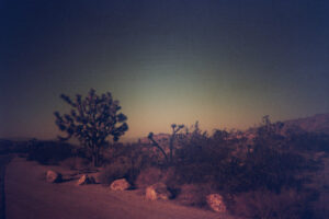 Joshua Tree park