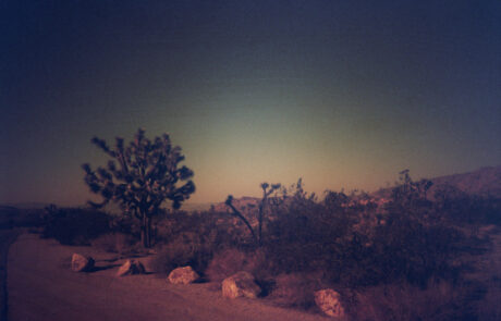 Jumbo Rocks in Joshua Tree by Jon Passow Joshua Tree park