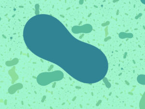 Large Format Fractal Art by Jon Passow