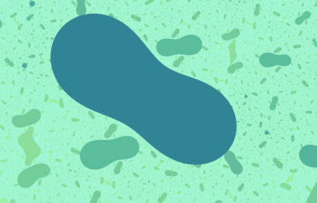 Large Format Fractal Art by Jon Passow