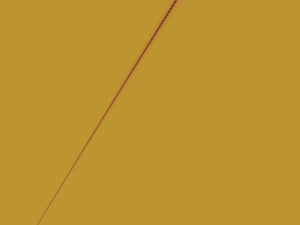 Large Format Fractal Art by Jon Passow